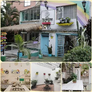  Hostel Florentina Symbiosis Colombia